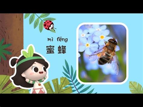 蜜蜂象徵意義